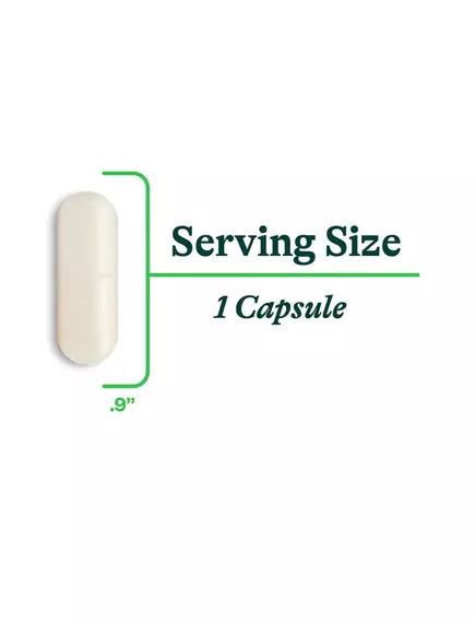 Seeking Health ProBiota HistaminX / Пробиотики без гистамина 60 капсул, фото 7 в магазине биодобавок nutrido.shop