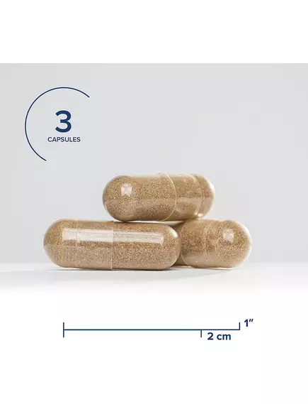 SEEKING HEALTH STRESS NUTRIENTS (FORMERLY ADRENAL NUTRIENTS) / ПОЖИВНІ РЕЧОВИНИ ДЛЯ НАДНИРКОВИХ ЗАЛОЗ 90 КАПСУЛ, фото 7 від магазину біодобавок nutrido.shop