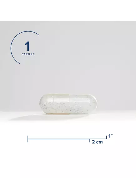 SEEKING HEALTH MOLYBDENUM / МОЛІБДЕН ДЛЯ МЕТАБОЛІЗМУ СІРКИ ТА СУЛЬФІТІВ 500 МГ 90 КАПСУЛ, фото 3 від магазину біодобавок nutrido.shop