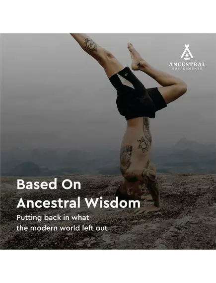 Ancestral Supplements Blood Vitality / Жизненная сила крови 180 капсул, фото 4 в магазине биодобавок nutrido.shop