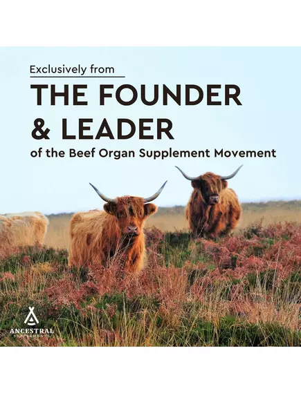 Ancestral Supplements Beef Heart / Говяжье сердце 180 капсул, фото 2 в магазине биодобавок nutrido.shop