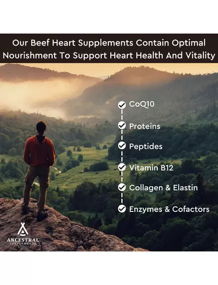 Ancestral Supplements Beef Heart / Говяжье сердце 180 капсул, фото 4 в магазине биодобавок nutrido.shop