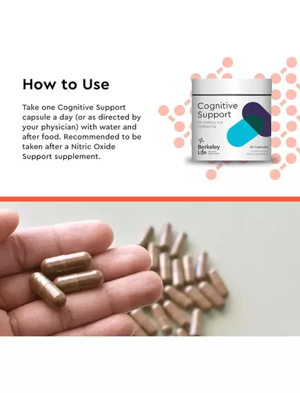 Berkeley Life Cognitive Support / Підтримка когнітивних функцій 30 капсул, фото 4 від магазину біодобавок nutrido.shop