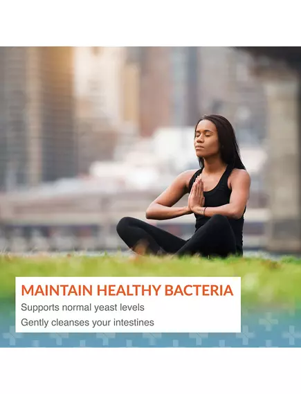 Arthur Andrew Syntol / Синтол пробіотик на основі спор 180 капсул, фото 2 від магазину біодобавок nutrido.shop