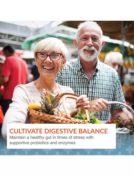 Arthur Andrew Syntol / Синтол пробіотик на основі спор 180 капсул, фото 4 від магазину біодобавок nutrido.shop