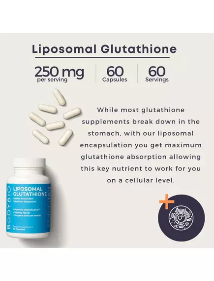 BodyBio Liposomal Glutathione / Ліпосомальний глутатіон 60 капсул, фото 4 в магазине биодобавок nutrido.shop