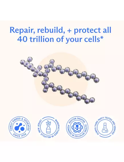 BodyBio PC Phosphatidylcholine / Фосфатидилхолин Повышение памяти и внимания 118 мл, фото 5 в магазине биодобавок nutrido.shop