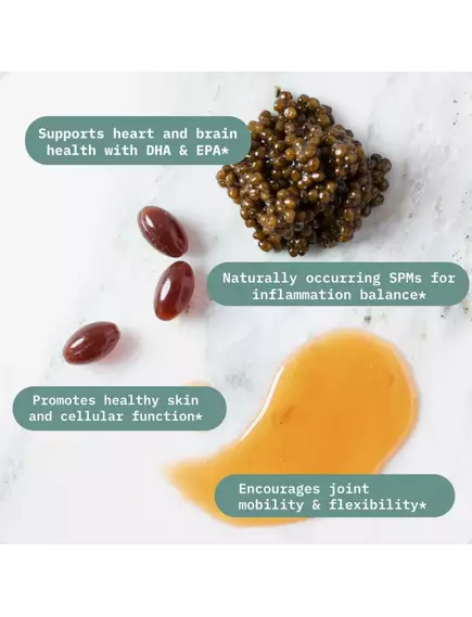 BodyBio Fish Oil+ / Риб'ячий жир для підтримки серця й мозку 60 капсул, фото 4 в магазине биодобавок nutrido.shop