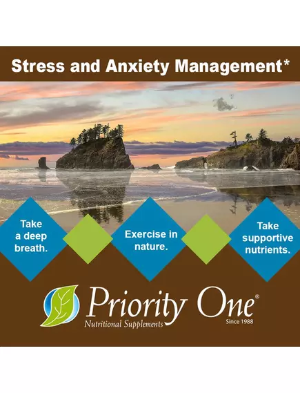 Priority One Stress B & C / Вітаміни Б і C підтримка при стресі 120 капсул, фото 5 від магазину біодобавок nutrido.shop