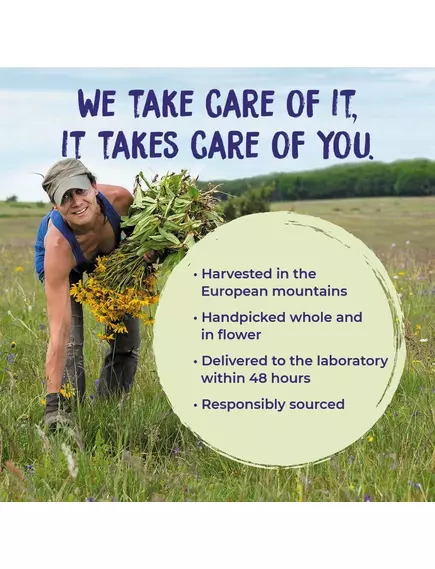 Boiron Arnicare Cream / Крем Арнікаре для для полегшення м'язового болю, скутості, набряків 40 г, фото 7 в магазине биодобавок nutrido.shop