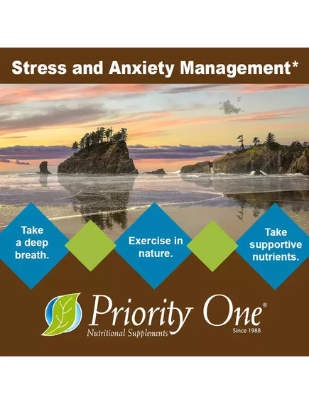 Priority One Stress B&C / Вітаміни Б і C підтримка при стресі 60 капсул, фото 4 в магазине биодобавок nutrido.shop