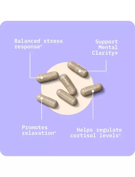 BodyBio Calm / Підтримка нервової системи та зниження стресу 60 капсул, фото 5 в магазине биодобавок nutrido.shop