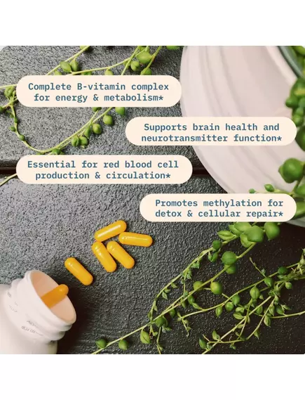 BodyBio Vitamin B+ / Комплекс вітамінів групи Б 90 капсул, фото 2 в магазине биодобавок nutrido.shop