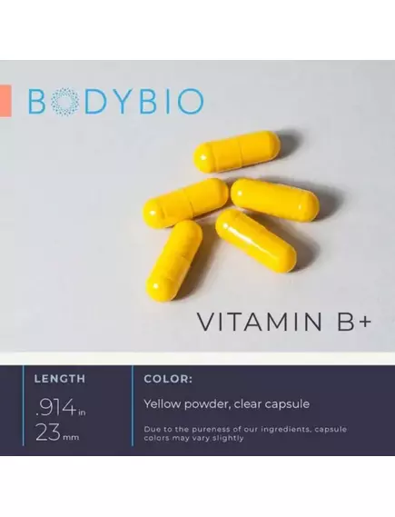 BodyBio Vitamin B+ / Комплекс вітамінів групи Б 90 капсул, фото 4 в магазине биодобавок nutrido.shop