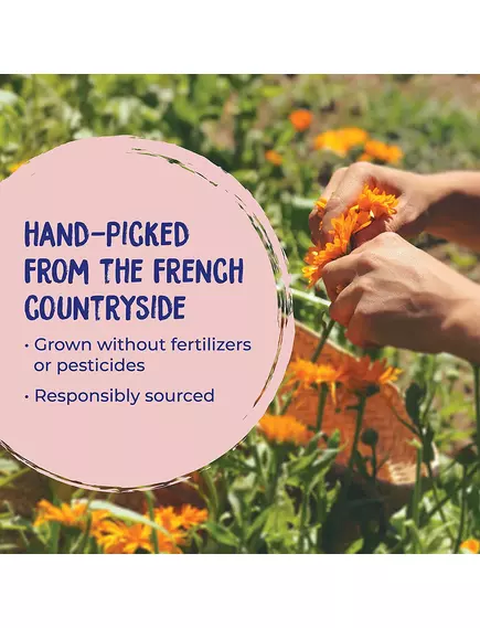 Boiron Calendula ointment / Мазь с календулой для заживления кожи 30 мл, фото 6 в магазине биодобавок nutrido.shop