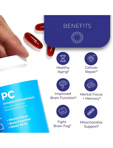 BODYBIO PC PHOSPHATIDYLCHOLINE / ФОСФАТИДИЛХОЛІН 100 КАПС, фото 3 від магазину біодобавок nutrido.shop