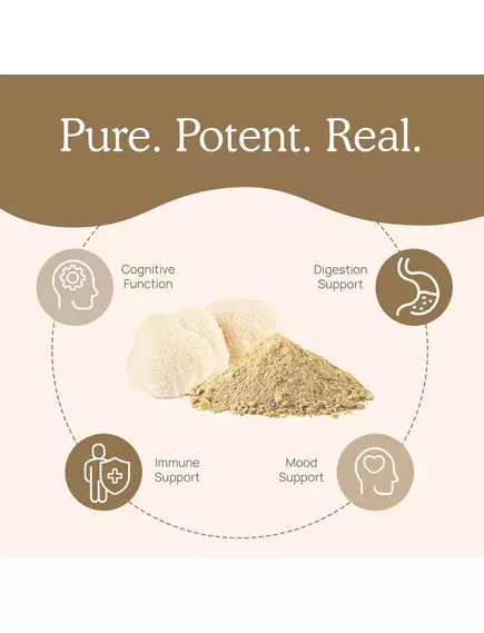 Real Mushrooms Lion's Mane / Ежовик гребенчатый органик 120 капс, фото 5 в магазине биодобавок nutrido.shop