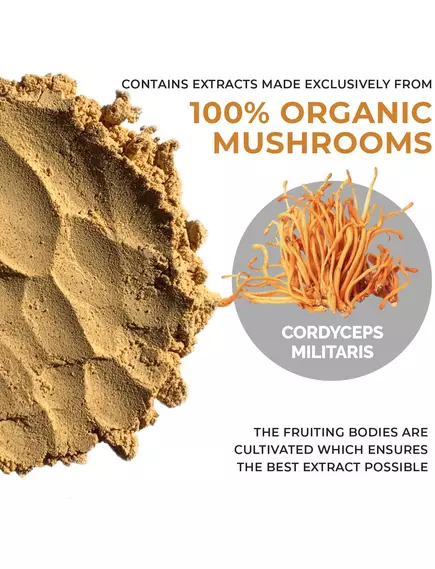 REAL MUSHROOMS CORDYCEPS / КОРДИЦЕПС ОРГАНІК ПОРОШОК 60 Г, фото 3 від магазину біодобавок nutrido.shop
