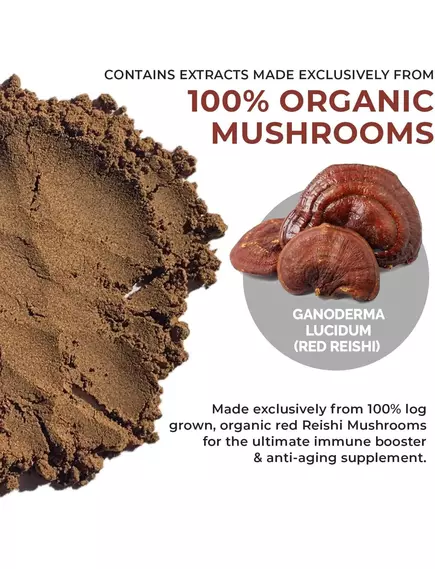 Real Mushrooms Reishi / Рейши органик порошок 45 гр., фото 5 в магазине биодобавок nutrido.shop