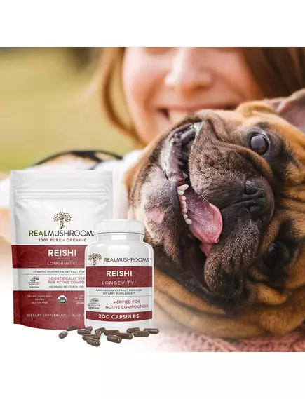 Real Mushrooms Reishi / Рейши органик порошок 45 гр., фото 8 в магазине биодобавок nutrido.shop