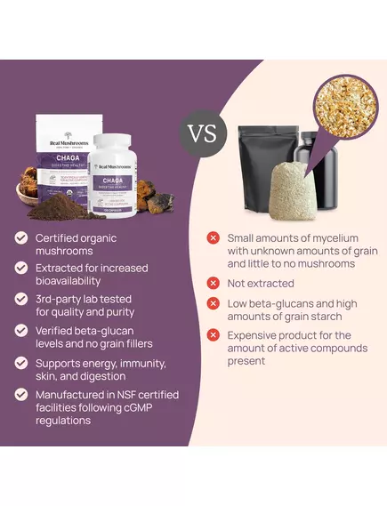 REAL MUSHROOMS CHAGA / ГРИБИ З ЕКСТРАКТОМ ЧАГИ ДЛЯ ПІДТРИМКИ ІМУНІТЕТУ І ТРАВЛЕННЯ ПОРОШОК 60 Г, фото 4 від магазину біодобавок nutrido.shop