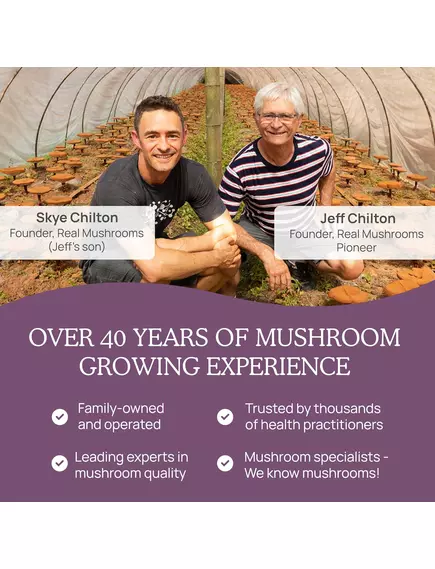 REAL MUSHROOMS CHAGA / ГРИБИ З ЕКСТРАКТОМ ЧАГИ ДЛЯ ПІДТРИМКИ ІМУНІТЕТУ І ТРАВЛЕННЯ ПОРОШОК 60 Г, фото 5 від магазину біодобавок nutrido.shop