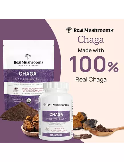 REAL MUSHROOMS CHAGA / ГРИБИ З ЕКСТРАКТОМ ЧАГИ ДЛЯ ПІДТРИМКИ ІМУНІТЕТУ І ТРАВЛЕННЯ ПОРОШОК 60 Г, фото 6 від магазину біодобавок nutrido.shop