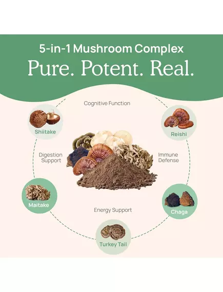 REAL MUSHROOMS 5 DEFENDERS / ОРГАНІЧНИЙ ГРИБНИЙ КОМПЛЕКС 5 ЗАХИСНИКІВ 45 ГРАМІВ, фото 4 від магазину біодобавок nutrido.shop