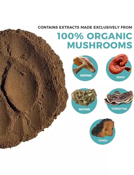 REAL MUSHROOMS 5 DEFENDERS / ОРГАНІЧНИЙ ГРИБНИЙ КОМПЛЕКС 5 ЗАХИСНИКІВ 45 ГРАМІВ, фото 7 від магазину біодобавок nutrido.shop