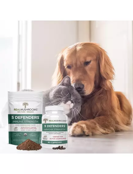 REAL MUSHROOMS 5 DEFENDERS / ОРГАНІЧНИЙ ГРИБНИЙ КОМПЛЕКС 5 ЗАХИСНИКІВ 45 ГРАМІВ, фото 10 від магазину біодобавок nutrido.shop