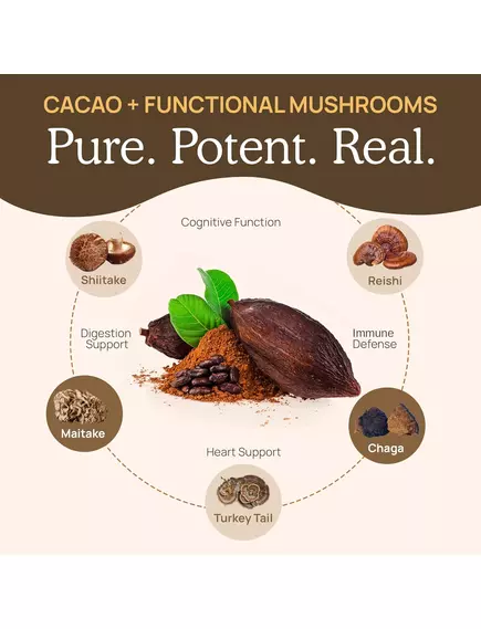 REAL MUSHROOMS HOT CHOCOLATE MIX / ГАРЯЧИЙ ШОКОЛАДНИЙ МІКС З ГРИБАМИ 240 Г, фото 5 від магазину біодобавок nutrido.shop