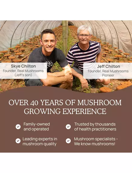 REAL MUSHROOMS HOT CHOCOLATE MIX / ГАРЯЧИЙ ШОКОЛАДНИЙ МІКС З ГРИБАМИ 240 Г, фото 8 від магазину біодобавок nutrido.shop