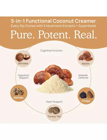 Real Mushrooms Functional Coconut Creamer / Кокосові вершки + суміш із 5 екстрактів грибів 180 г, фото 4 від магазину біодобавок nutrido.shop