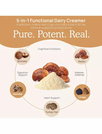 Real Mushrooms Functional Dairy Creamer / Молочні вершки + суміш із 5 екстрактів грибів 180 г, фото 5 від магазину біодобавок nutrido.shop