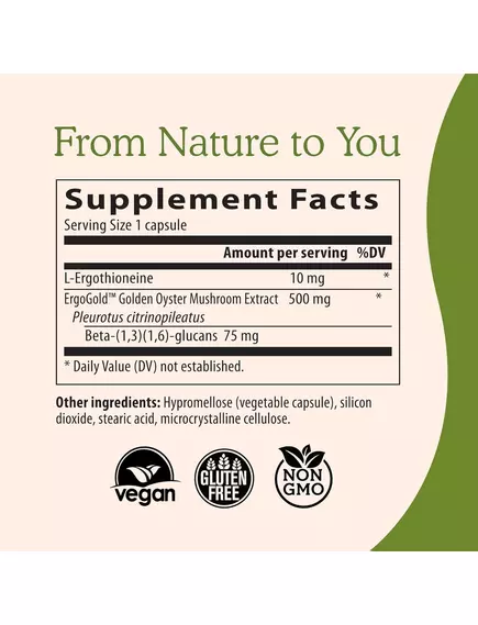 REAL MUSHROOMS ERGO+ / ЕРГОТІОНЕЇН 60 КАПСУЛ, фото 2 від магазину біодобавок nutrido.shop