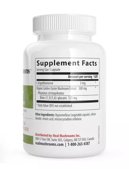 REAL MUSHROOMS ERGO+ / ЕРГОТІОНЕЇН 60 КАПСУЛ, фото 3 від магазину біодобавок nutrido.shop