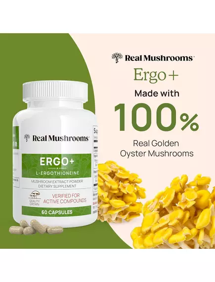 REAL MUSHROOMS ERGO+ / ЕРГОТІОНЕЇН 60 КАПСУЛ, фото 5 від магазину біодобавок nutrido.shop