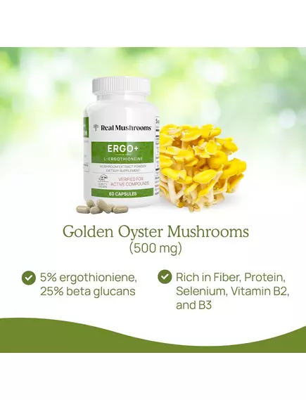 REAL MUSHROOMS ERGO+ / ЕРГОТІОНЕЇН 60 КАПСУЛ, фото 8 від магазину біодобавок nutrido.shop
