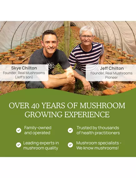 REAL MUSHROOMS ERGO+ / ЕРГОТІОНЕЇН 60 КАПСУЛ, фото 9 від магазину біодобавок nutrido.shop