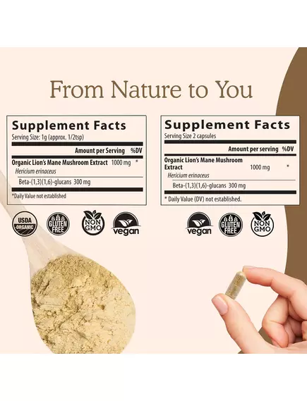 Real Mushrooms Lion's Mane / Їжовик гребінчастий органік порошок для когнітивного здоров'я 150 г, фото 4 від магазину біодобавок nutrido.shop