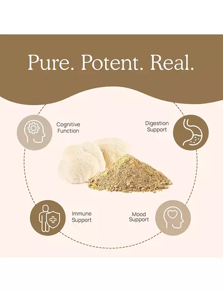 Real Mushrooms Lion's Mane / Їжовик гребінчастий органік порошок для когнітивного здоров'я 150 г, фото 5 від магазину біодобавок nutrido.shop