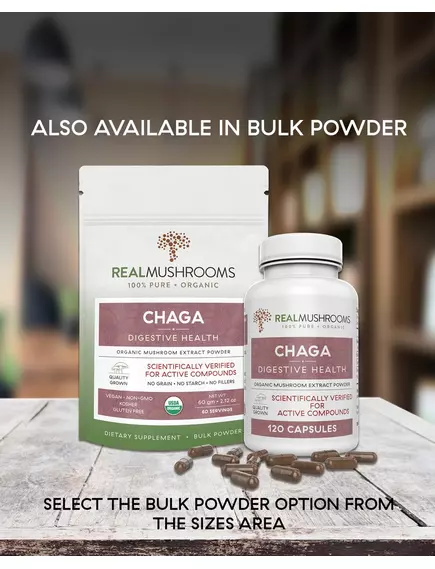 REAL MUSHROOMS CHAGA / ГРИБИ З ЕКСТРАКТОМ ЧАГИ ДЛЯ ПІДТРИМКИ ІМУНІТЕТУ І ТРАВЛЕННЯ 300 КАПС., фото 3 від магазину біодобавок nutrido.shop
