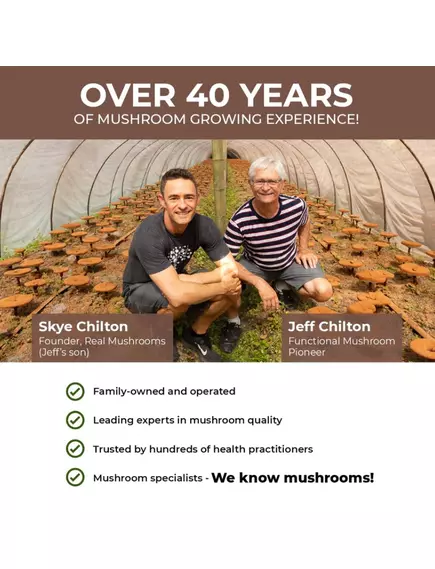 REAL MUSHROOMS 5 DEFENDERS CHOCOLATE / ШОКОЛАД ГРИБНИЙ 5 ЗАХИСНИКІВ 56 Г, фото 4 від магазину біодобавок nutrido.shop