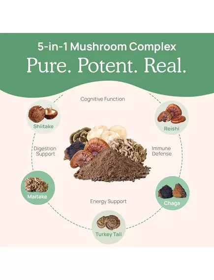 Real Mushrooms 5 Defenders / Органічний грибний комплекс 5 захисників 90 капсул, фото 5 в магазине биодобавок nutrido.shop
