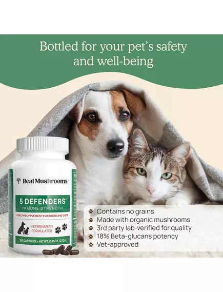 Real Mushrooms 5 Defenders / Органічний грибний комплекс 5 захисників 90 капсул, фото 10 в магазине биодобавок nutrido.shop