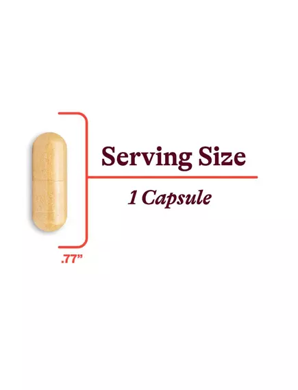 Seeking Health B Minus / Комплекс витаминов группы Б без Б12 и фолиевой 100 капсул, фото 6 в магазине биодобавок nutrido.shop