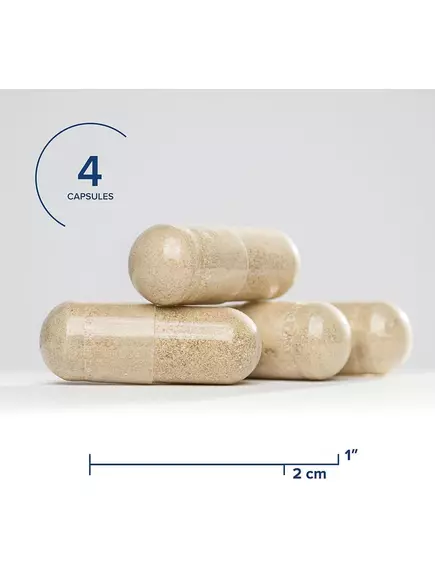 Seeking Health Gallbladder Nutrients / Питательные вещества для желчного пузыря 120 капсул, фото 6 в магазине биодобавок nutrido.shop