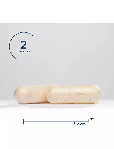 Seeking Health Histamine Nutrients (Formerly Histamine Block Plus) / Блокировка гистамина+ ДАО 60 к, фото 3 в магазине биодобавок nutrido.shop