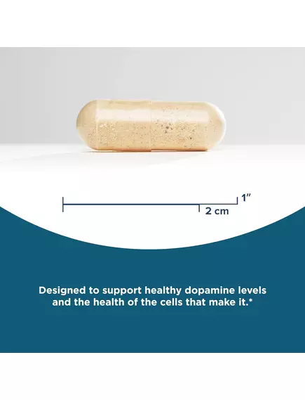 Seeking Health Dopamine Nutrients / Поживні речовини для вироблення дофаміну 60 капсул, фото 3 від магазину біодобавок nutrido.shop