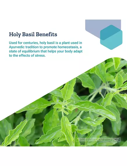 Life Extension Adrenal Energy Formula / Формула энергии надпочечников 60 капсул, фото 7 в магазине биодобавок nutrido.shop